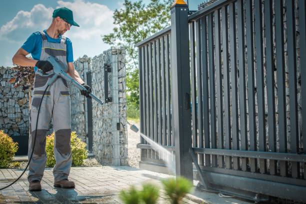 Best Patio and Deck Pressure Washing  in Paia, HI
